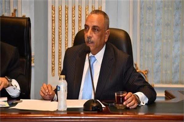  إيهاب الطماوي عضو المجلس القومي لحقوق الإنسان