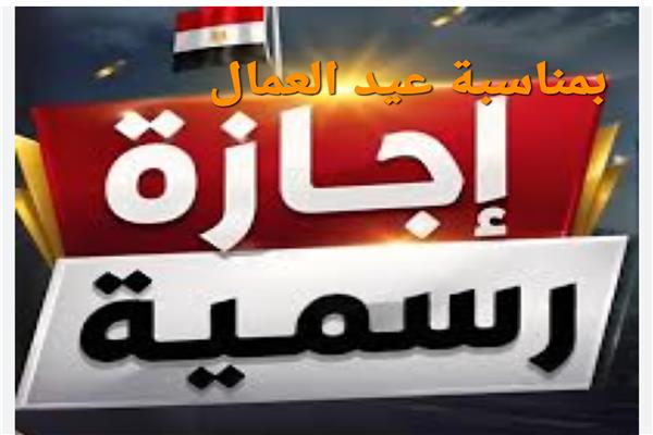 ارشيفية