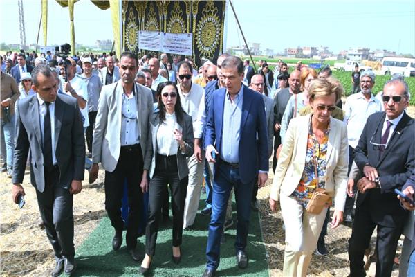 صورة موضوعية