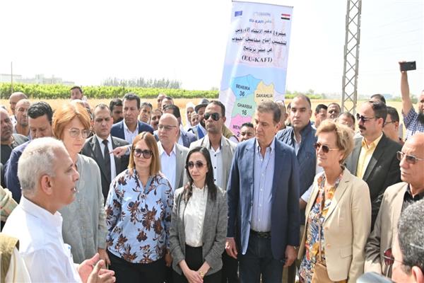 محافظ البحيرة ووزير الزراعة وسفيرة الاتحاد الأوروبي يشهدون حصاد القمح