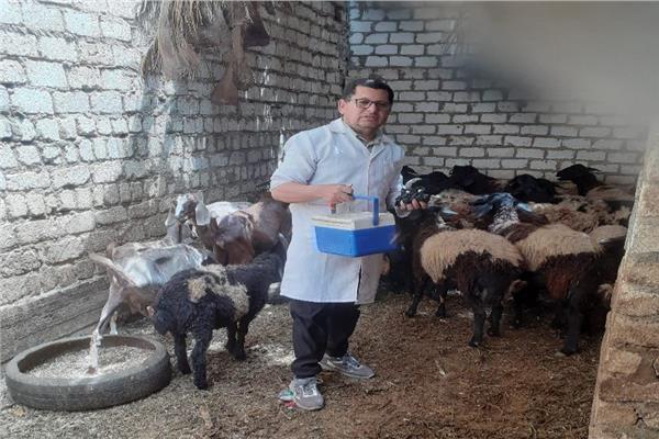 صورة موضوعية