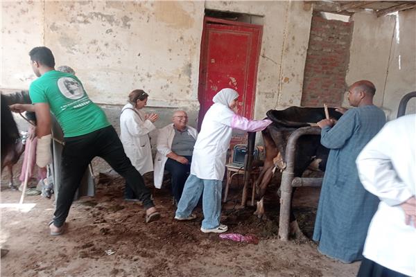 صورة موضوعية