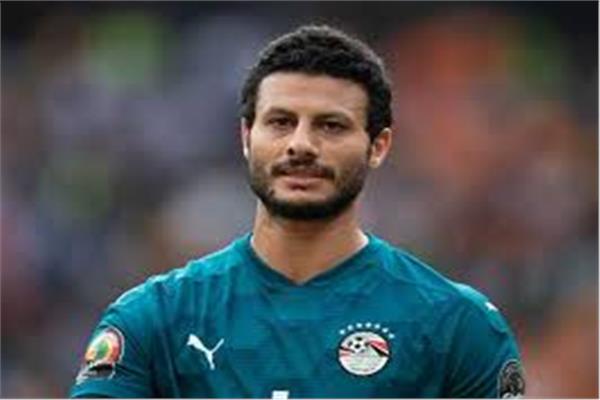 محمد الشناوي