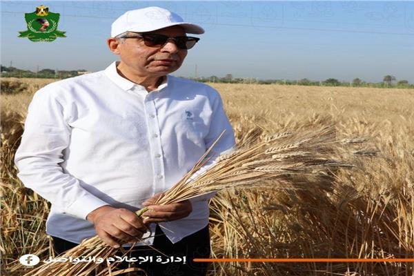 صورة موضوعية