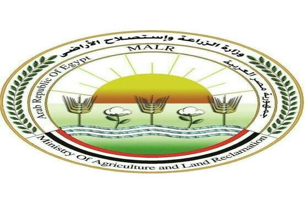 صورة موضوعية