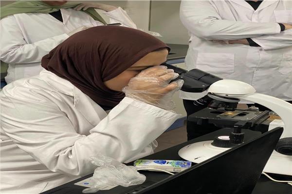 التدريب العملي
