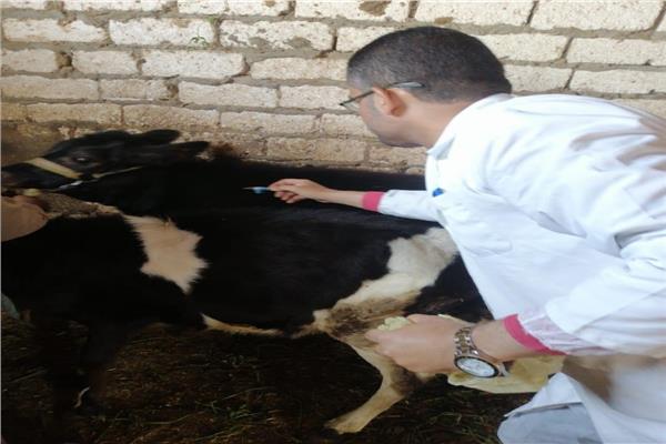 حملة القومية لتحصين