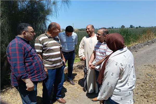 صورة موضوعية