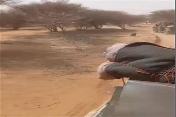 موضوعية