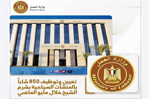 وزارة العمل 