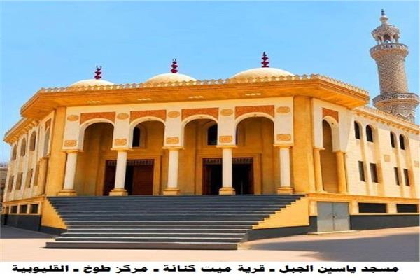 ارشيفية