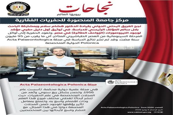 صورة موضوعية 