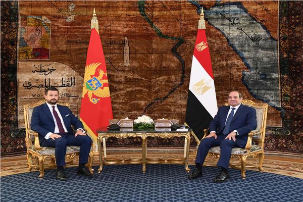 جانب من لقاء الرئيس السيسي مع رئيس جمهورية الجبل الأسود