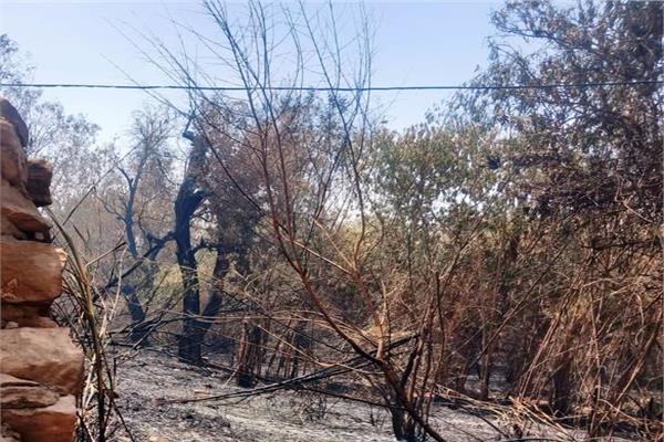  اسوان تسيطر على حريق فى منطقة مستعمرة الخزان شرق