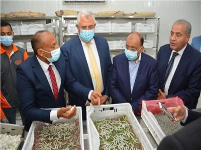 وزير التنمية المحلية يتفقد مشروع واحة الحرير بالوادى الجديد
