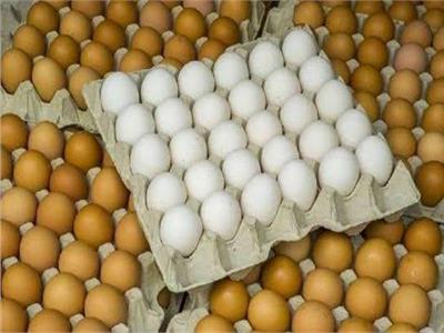 «التموين» تطرح بيض المائدة بـ 47 جنيهًا.. وتوقعات بانخفاضه إلى 35 
