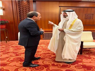 العلاقات بين الإمارات ومصر «نموذجية»