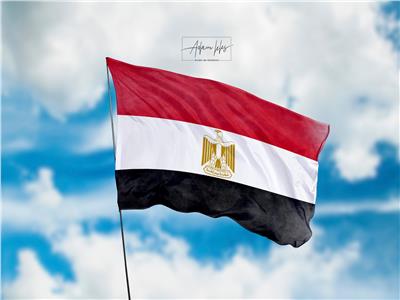 سفارة مصر باليابان تعقد لقاءات لرئيس مجلس الأعمال المشترك مع عدد من الجهات 