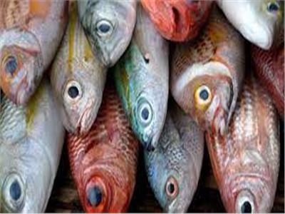 ميناماتا .. يقتل البشر بسبب سمك الزئبق