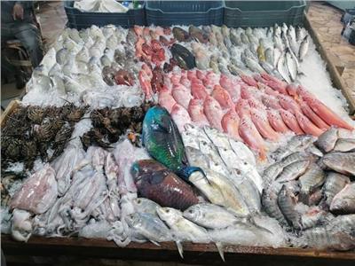 إستقرار أسعار الأسماك فى سوق العبور اليوم الخميس 30 يونية
