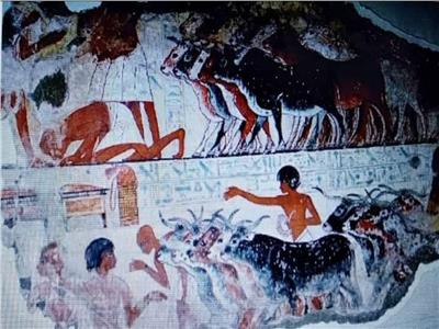 خبير أثري يكشف أسرار تقديم القرابين وذبح الأضاحي في عهد المصريين القدماء