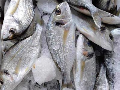 «تموين القليوبية» تضبط 2.7 طن أسماك مجمدة مجهولة المصدر