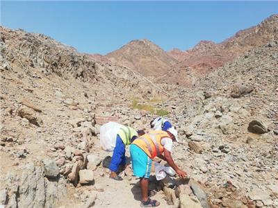 البيئة: حملة لإزالة الأكياس البلاستيكية بالمحميات الطبيعية فى جنوب سيناء