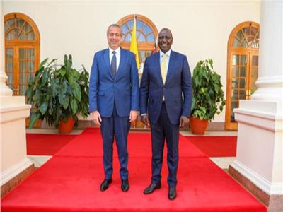 السفير المصري يودع رئيس «كينيا» لقرب انتهاء فترة عمله بنيروبي