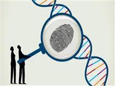 د.سعد الدين الهلالي: البصمة الوراثية لا تعرف من العلائق سوى العلاقة الطبيعية
