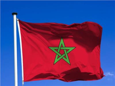 وزيرة مغربية تكشف سبب عدم حماستها لمشروع بناء مفاعل نووي