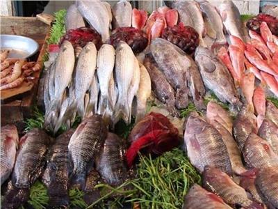     استقرار أسعار الأسماك في سوق العبور 