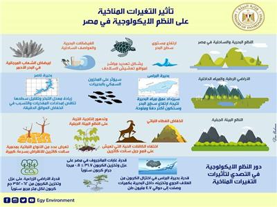 «البيئة»: تأثير التغيرات المناخية على النظم الإيكولوجية في مصر| إنفوجراف
