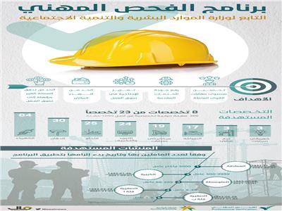  برنامج للفحص المهني لضخ العمالة مصرية ماهرة لسوق العمل السعودي
