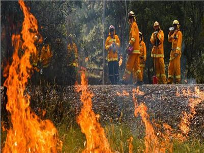 مصرع 13 شخصًا جراء حرائق غابات في جنوب تشيلي
