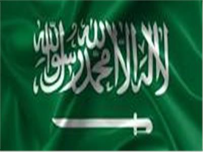 السعودية تؤكد رفضها للاستيطان في أراضي فلسطين المحتلة 