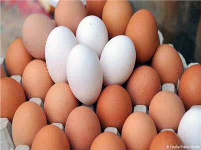 إستقرار أسعار البيض بالاسواق 