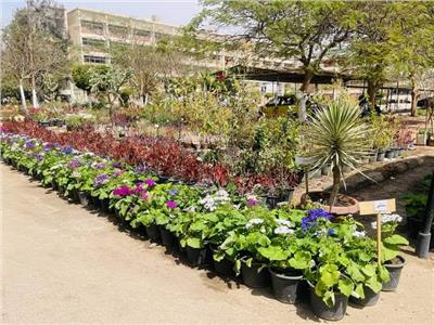 رئيس جامعة المنيا يفتتح معرض الزهور الرابع بالمشتل التعليمي لكلية الزراعة