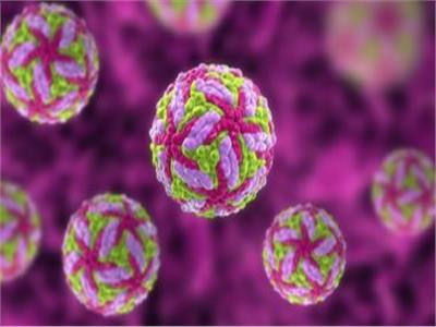 «الصحة» تكشف أعراض الإصابة بفيروس «ماربوج»