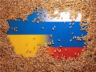   3 إجراءات حكومية  لتجنب تداعيات توقف اتفاقية تصدير الحبوب ..وأسعار القمح العالمية تواصل الصعود