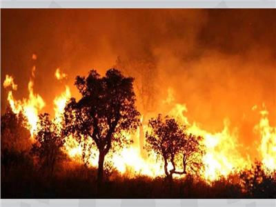 العثور على 18 جثة في منطقة اجتاحتها حرائق الغابات باليونان