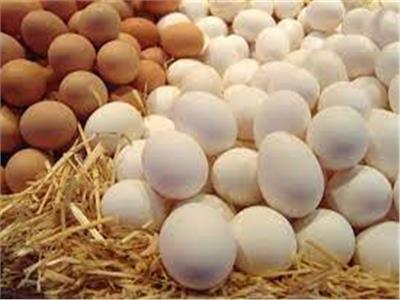 شعبة بيض المائدة: ارتفاع أسعار الخامات يُنذر بكارثة في «الصناعة الاستراتيجية»