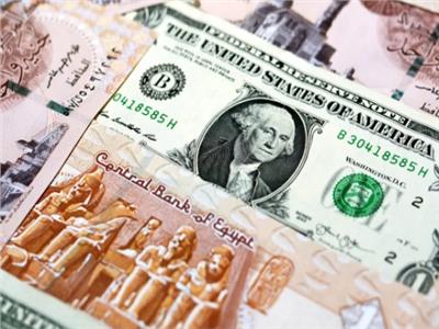 بين المضاربات والاكتناز| «الدولار » هل يدفع بسرعة التعويم الرابع للجنيه