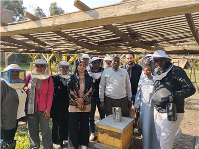 الزراعة تنفذ برامج تدريبية على إنشاء المناحل وتربية نحل العسل في المحافظات 