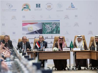 مجلس الأعمال المصري السعودي يبحث تعزيز التعاون المشترك بين البلدين