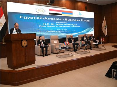 وزير الصناعة يدعو إلى إنشاء شبكات تجارية تعود بالنفع على الاقتصادين المصري والأرميني