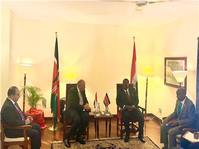 وزير الخارجية يلتقي مع رئيس مجلس الوزراء ووزير الشئون الخارجية الكيني