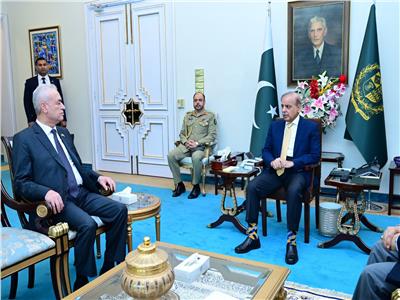 رئيس وزراء باكستان يؤكد التضامن الكامل مع فلسطين ويطالب بوقف العدوان الإسرائيلى
