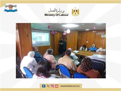 «العمل» تنظم ندوة للسلامة والصحة المهنية والمشكلة السكانية وآثارها بالقاهرة