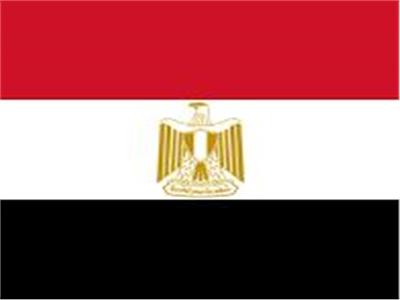 الاتحاد العربى للتضامن الاجتماعى يدعو لضخ الاستثمارات العربية بمصر