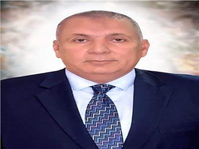 محافظ الوادي الجديد يُثمّن موافقة مجلس الوزراء على إنشاء ثلاث صوامع غلال جديدة 